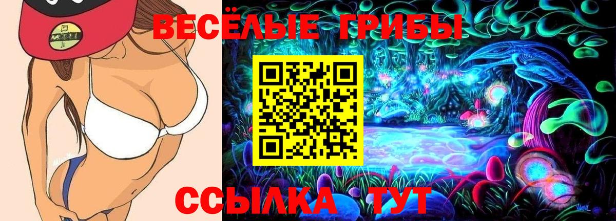 Псилоцибиновые грибы мухоморы  Вход с VPN  Тара  Галлюциногенные грибы Magic Shrooms 