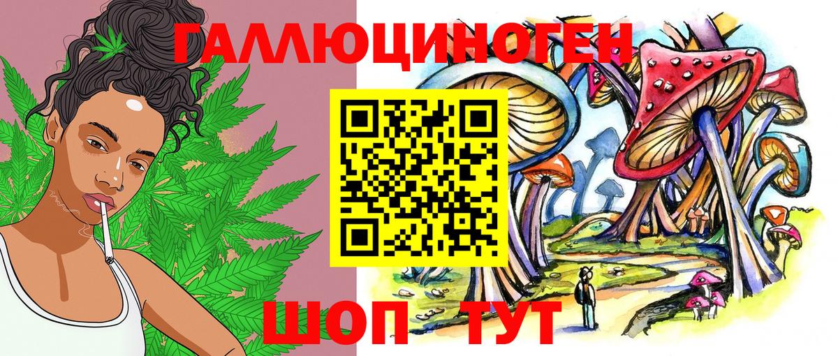 Псилоцибиновые грибы Cubensis Тара