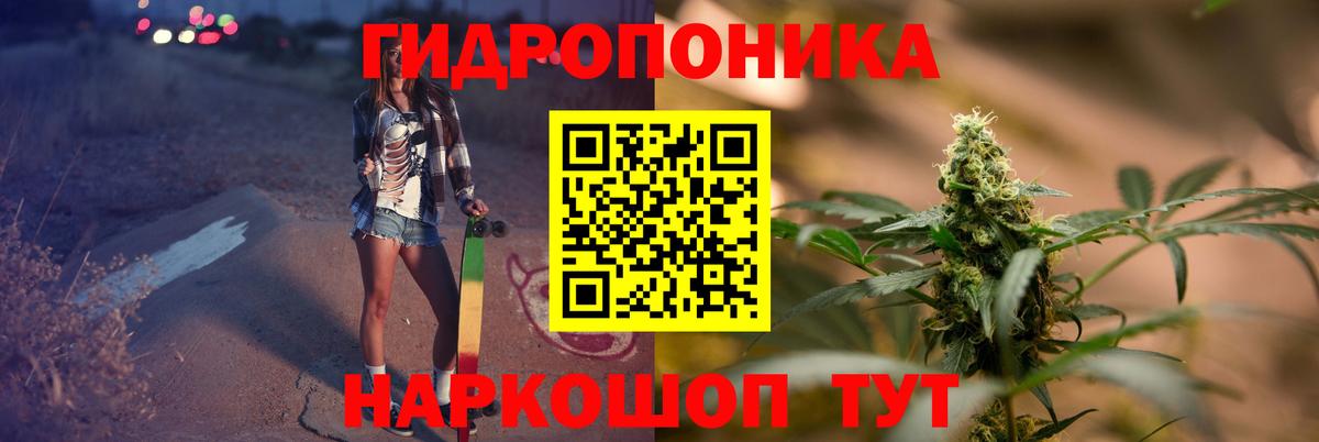 Бошки марихуана ГИДРОПОН Тара